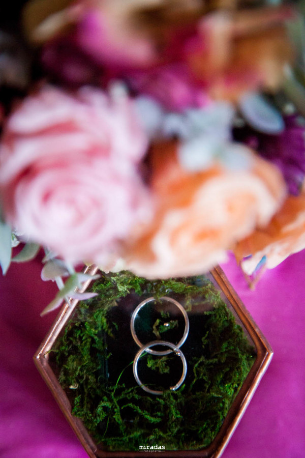 miradas toledo fotografo-18