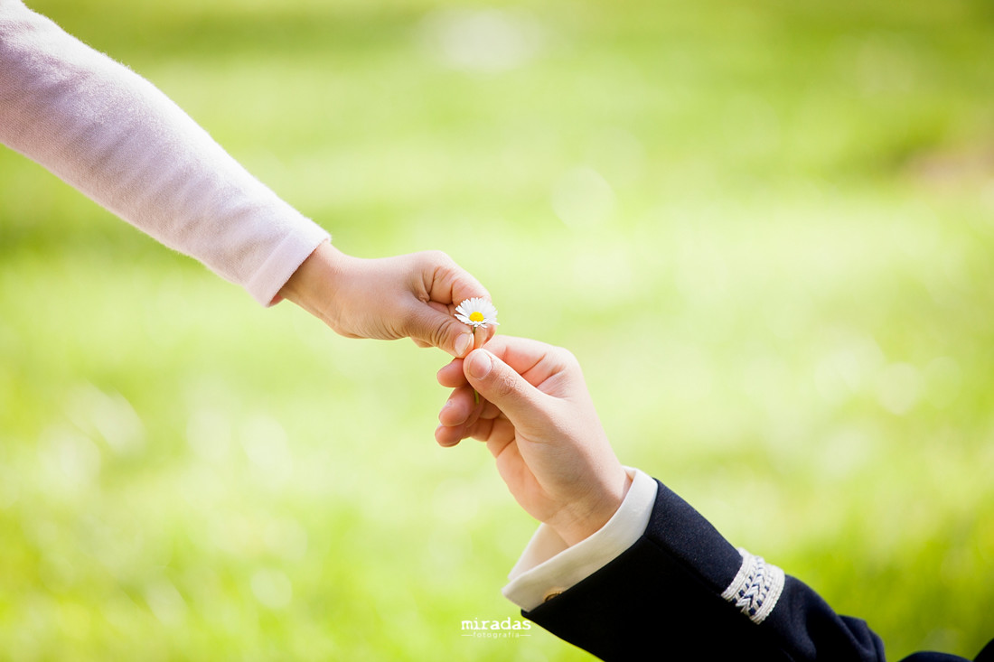 miradas toledo fotografo-3